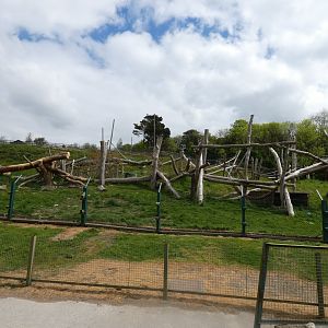 Spectacled bear enclosure