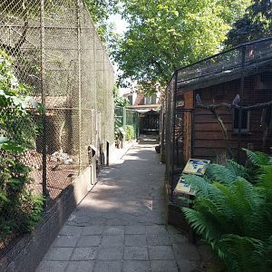 Bird and small monkey area