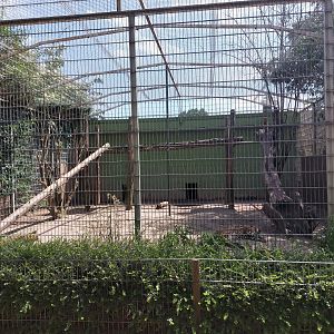 Sri Lankan leopard cage