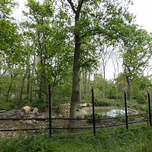 Brown bear enclosure