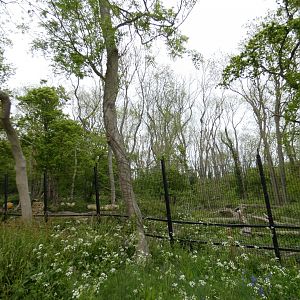 Brown bear enclosure (2)