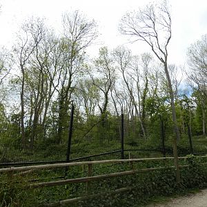 Brown bear enclosure (3)