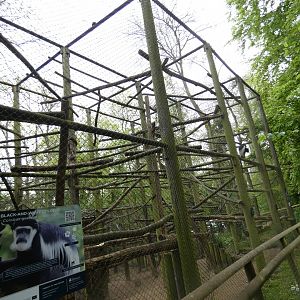 Diana monkey and Colobus monkey enclosure