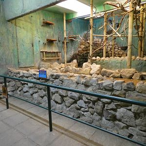 Sloth and bat walk-through enclosure