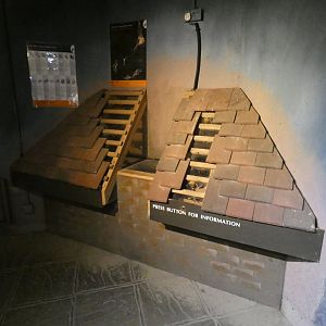 Bat education display