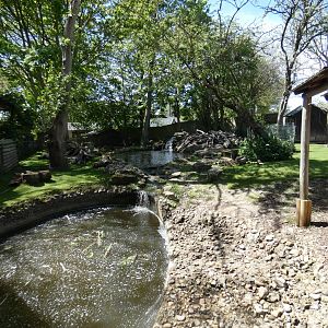Beaver and Capybara enclosure