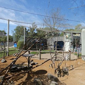Lorikeet walk-through
