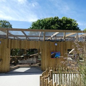 Ring-tailed coati enclosure (2)