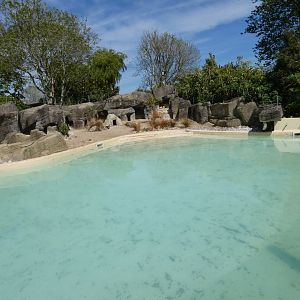 Penguin enclosure