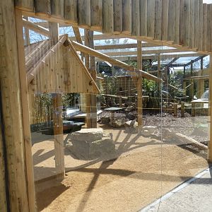 Ring-tailed coati enclosure