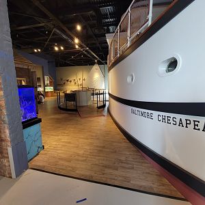 Delmarva Discovery Museum - First main room
