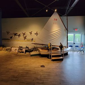 Delmarva Discovery Museum - Diorama