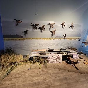 Delmarva Discovery Museum - Diorama