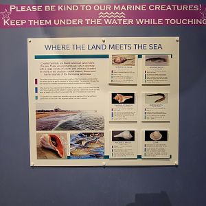 Delmarva Discovery Museum - Sign about species in touch tank?