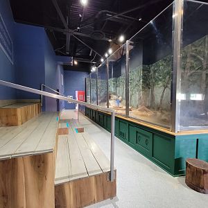 Delmarva Discovery Museum - NARO