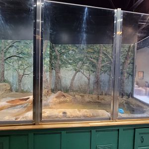 Delmarva Discovery Museum - NARO