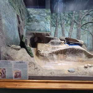 Delmarva Discovery Museum - NARO