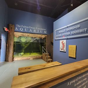 Delmarva Discovery Museum - NARO swimming area
