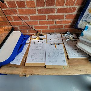 Delmarva Discovery Museum - Worksheets for kids