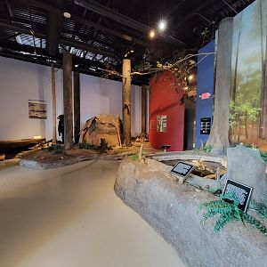 Delmarva Discovery Museum - Dioramas