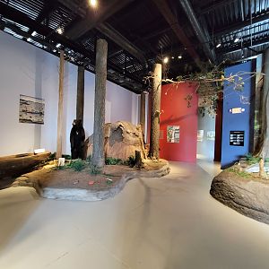 Delmarva Discovery Museum - Dioramas