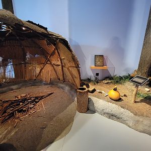Delmarva Discovery Museum - Diorama