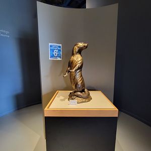 Delmarva Discovery Museum - Otter statue