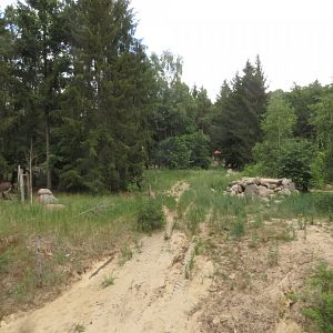 Siberian tiger enclosure