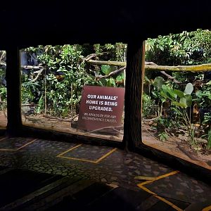 Upcoming South American Mixed Exhibit