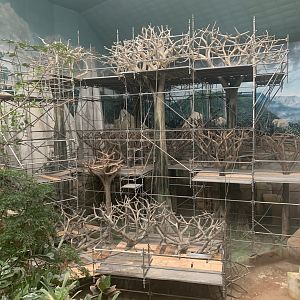 Maintenance in Tropic World: Asia