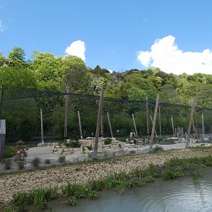 Coastal Creek aviary