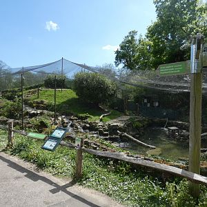 Waterfall aviary
