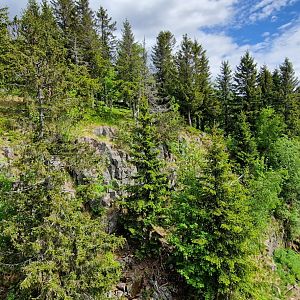 Siberian Tiger enclosure