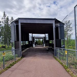 Snow Leopard/Persian Leopard viewing tunnel