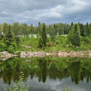 Polar Bear enclosure