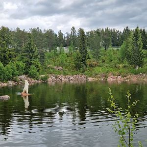 Polar Bears enclosure