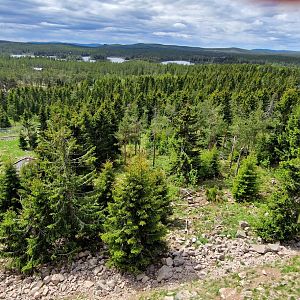 Brown Bear enclosures
