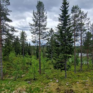 Polar Bears enclosure