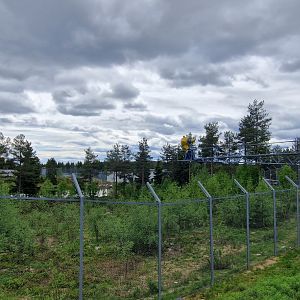 Polar Bears enclosure with Ice Machine