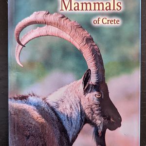 Amphibians, Reptiles & Mammals of Crete