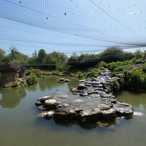 Icelandic lake aviary (2)