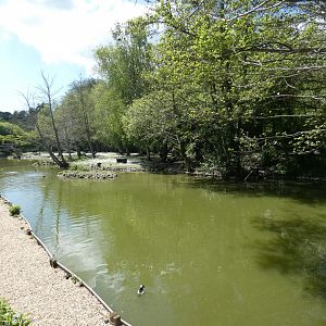 Lakes and Forest exhibit