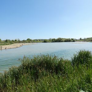 View from Ramsar Hide