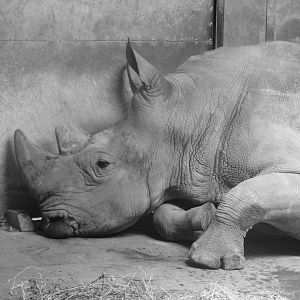 ...from another point of view