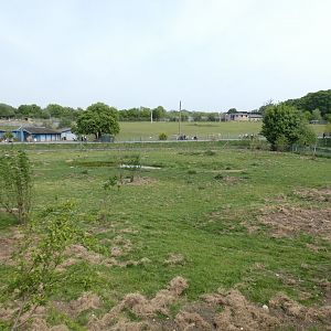 Sitatunga paddock