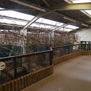 Semi Aquatic Mammal house