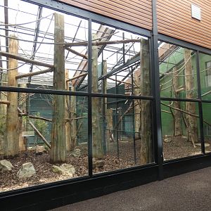 Lemur indoor enclosure