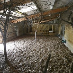 Chapman's zebra indoor enclosure