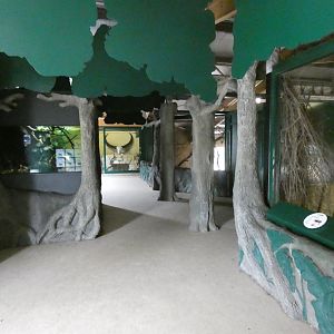 Heart of Africa viewing area