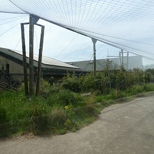 Lemur outdoor enclosure